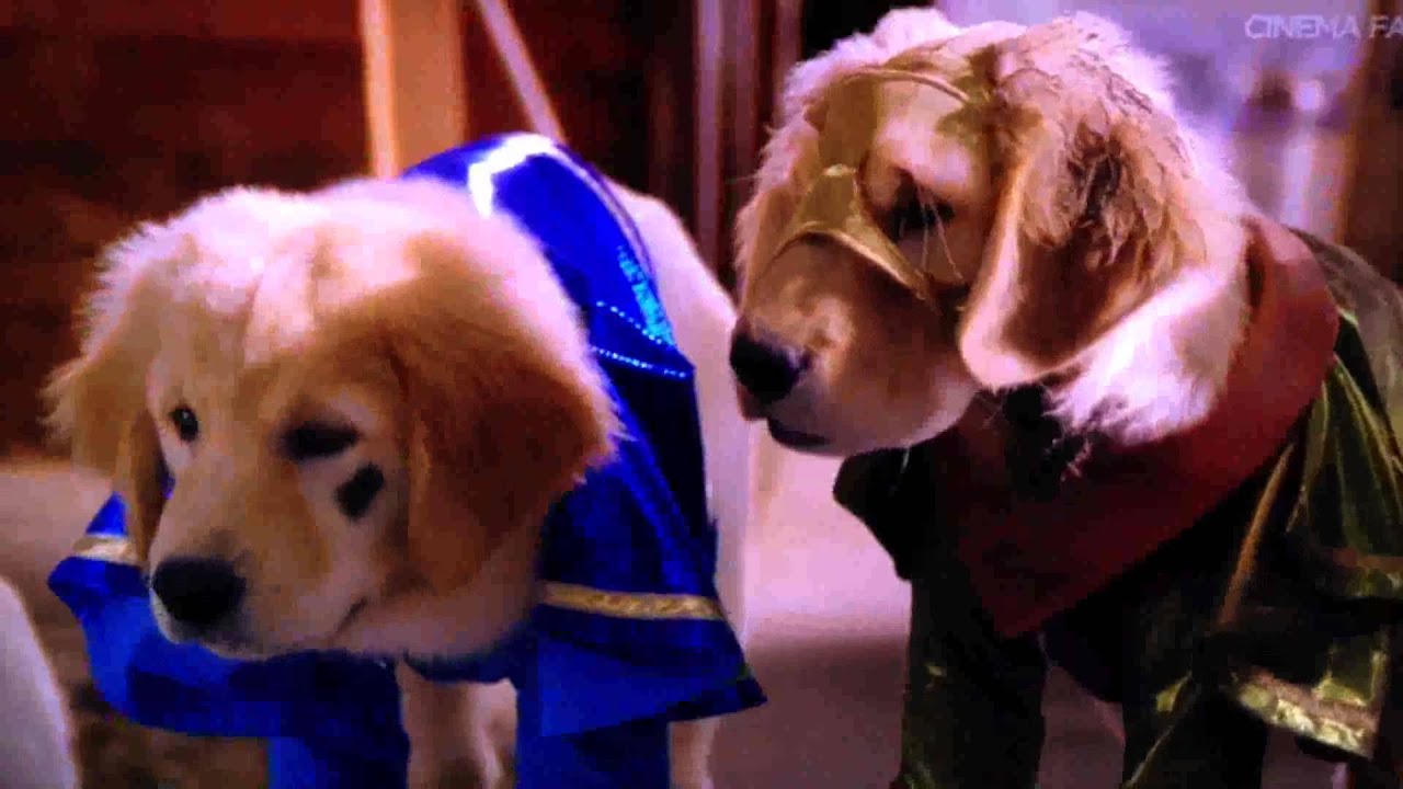 supercuccioli