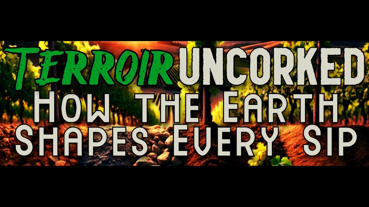 Terroir Uncorked Part 1: How the Earth Shapes Every Sip