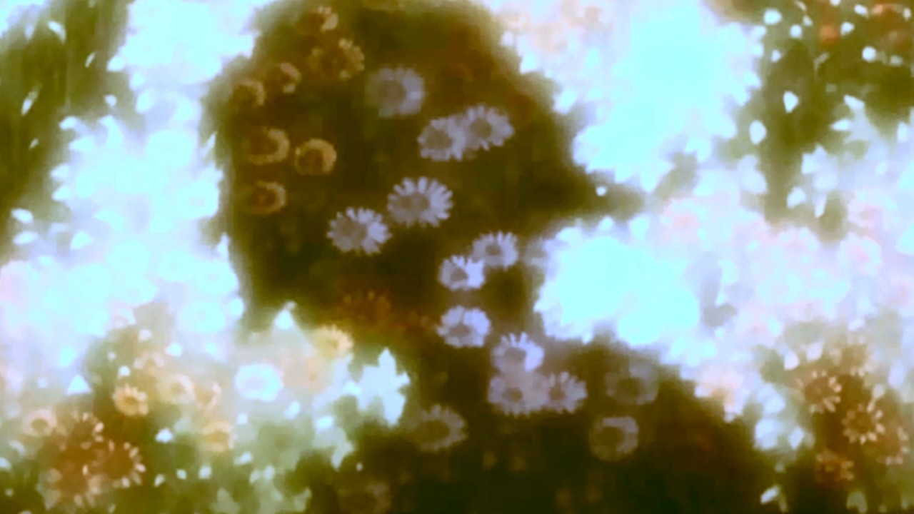 Carbon Based Lifeforms | яcа ˢˡᵒʷᵉᵈ 'ⁿ' ʳᵉᵛᵉʳᵇ