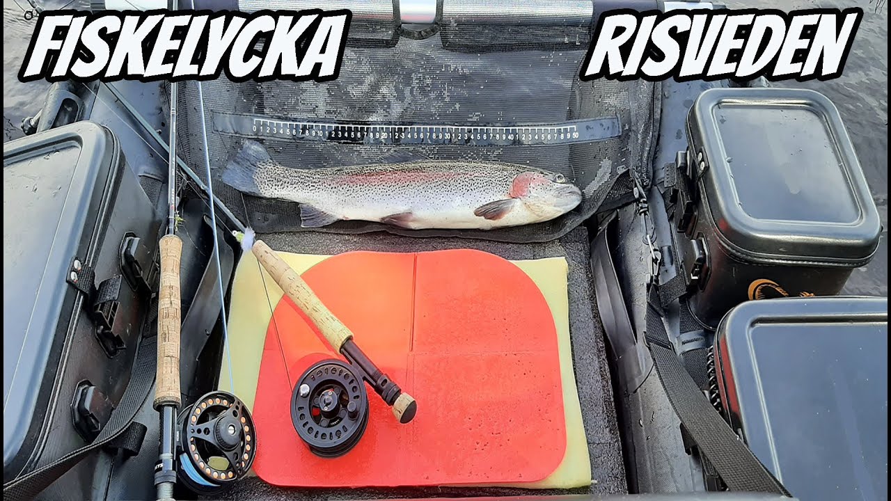 Lyckat Fiske Med Flytring i Risveden | Fiskelycka
