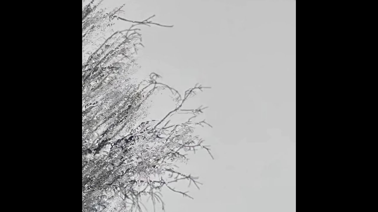 Ethereal ambient soundscape - This And Other Titles 01 - 1h15min