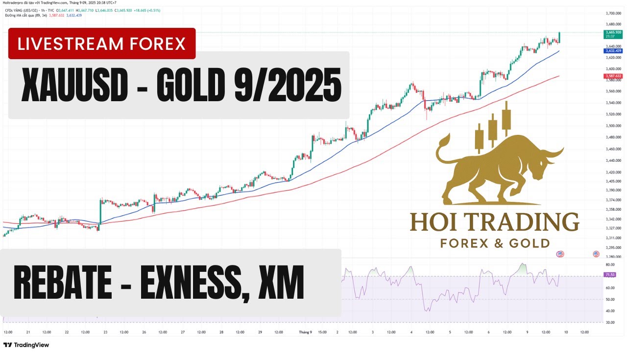 How to Trade Gold and Get Daily Rebates | Exness & XM Rebate System Explained &ndash;  19/9/2025