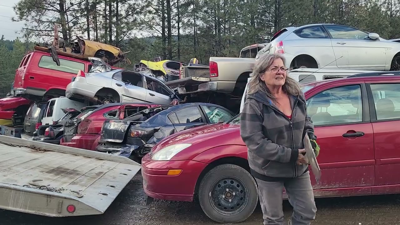 Scrap Ford Focus.  We have no snow