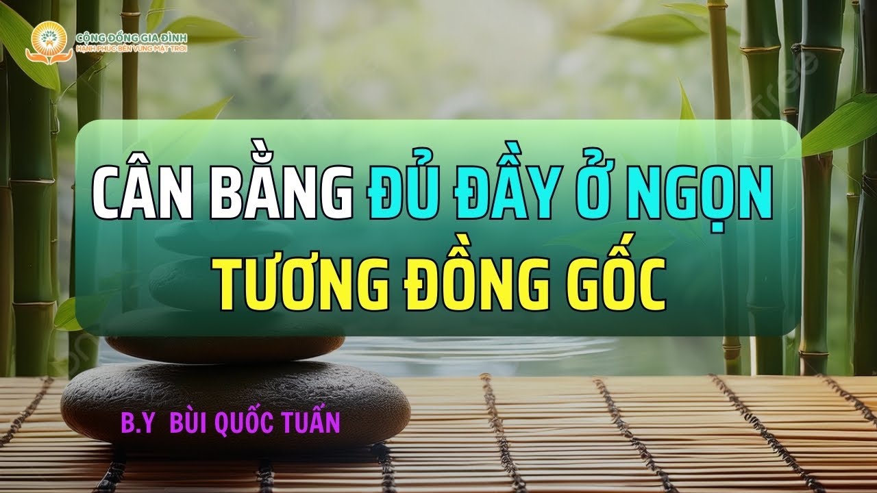 Cân Bằng Đủ Đầy Ở Ngọn Tương Đồng Gốc - Thầy Bùi Quốc Tuấn