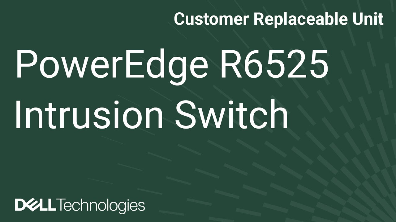 Dell  PowerEdge R6525: Remove/Install Chassis Intrusion Switch