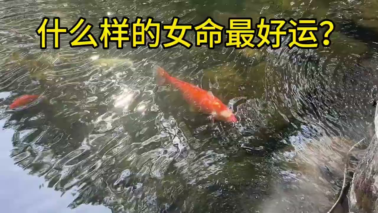 从古印度吠陀占星看什么样的女命最好运？印度占星印占吠陀占星盘