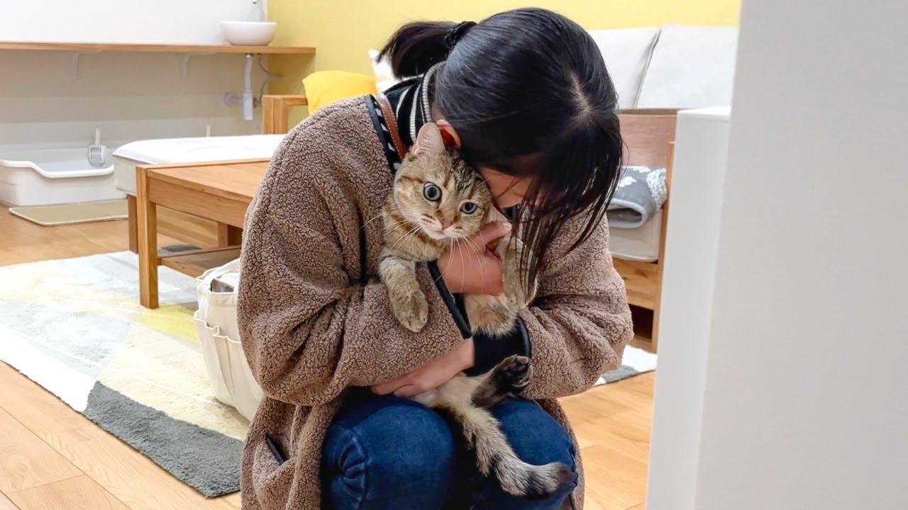 旅行に置いて行かれた猫が怒ってしまいました…。