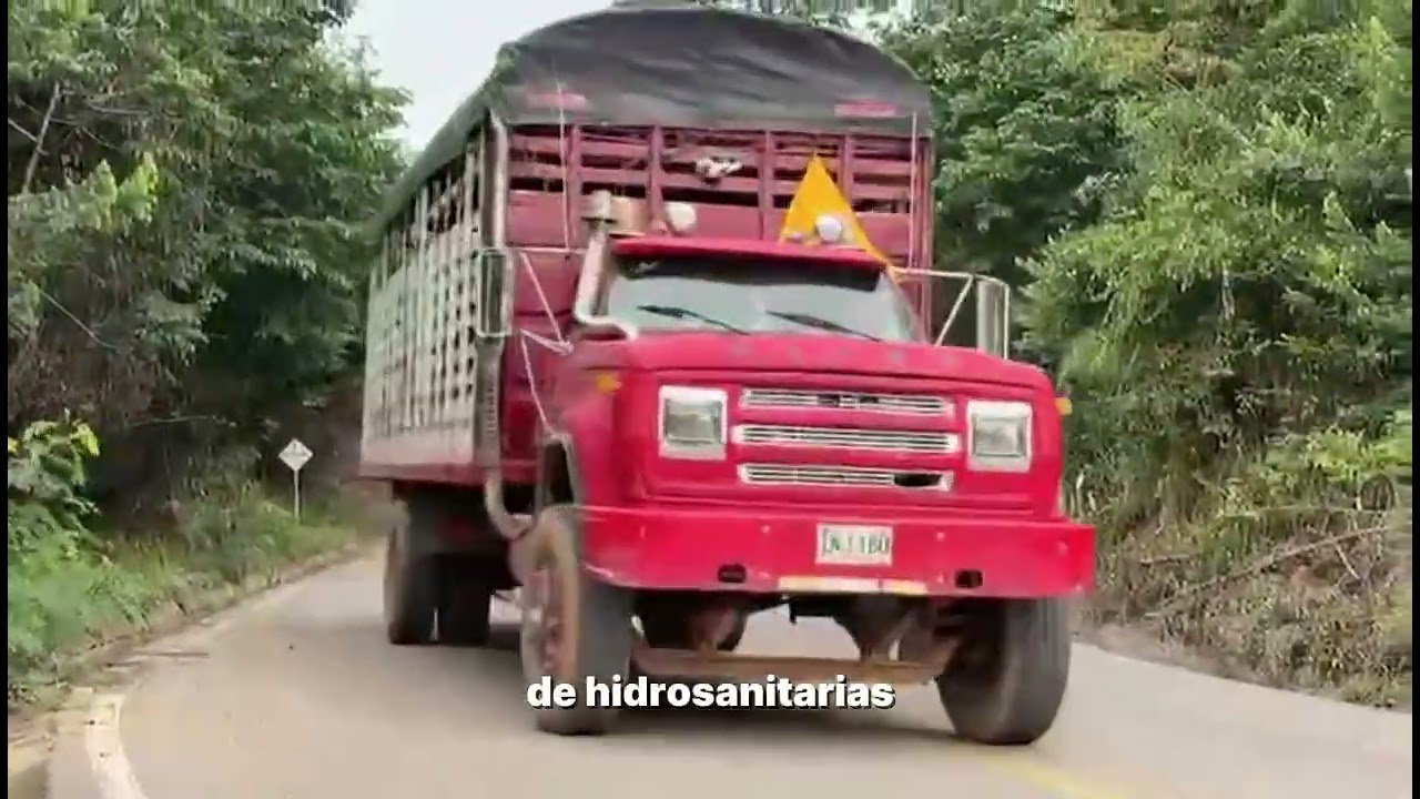🎬 Этот перевод спас ЖИЗНИ в Катамбо 😱