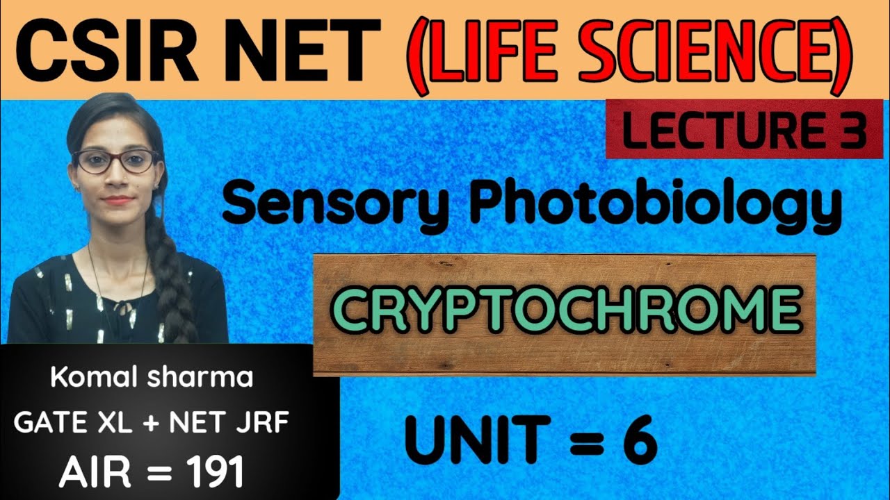 CSIR NET (НАУКИ О ЖИЗНИ): Сенсорная фотобиология | CRYPTOCHROME