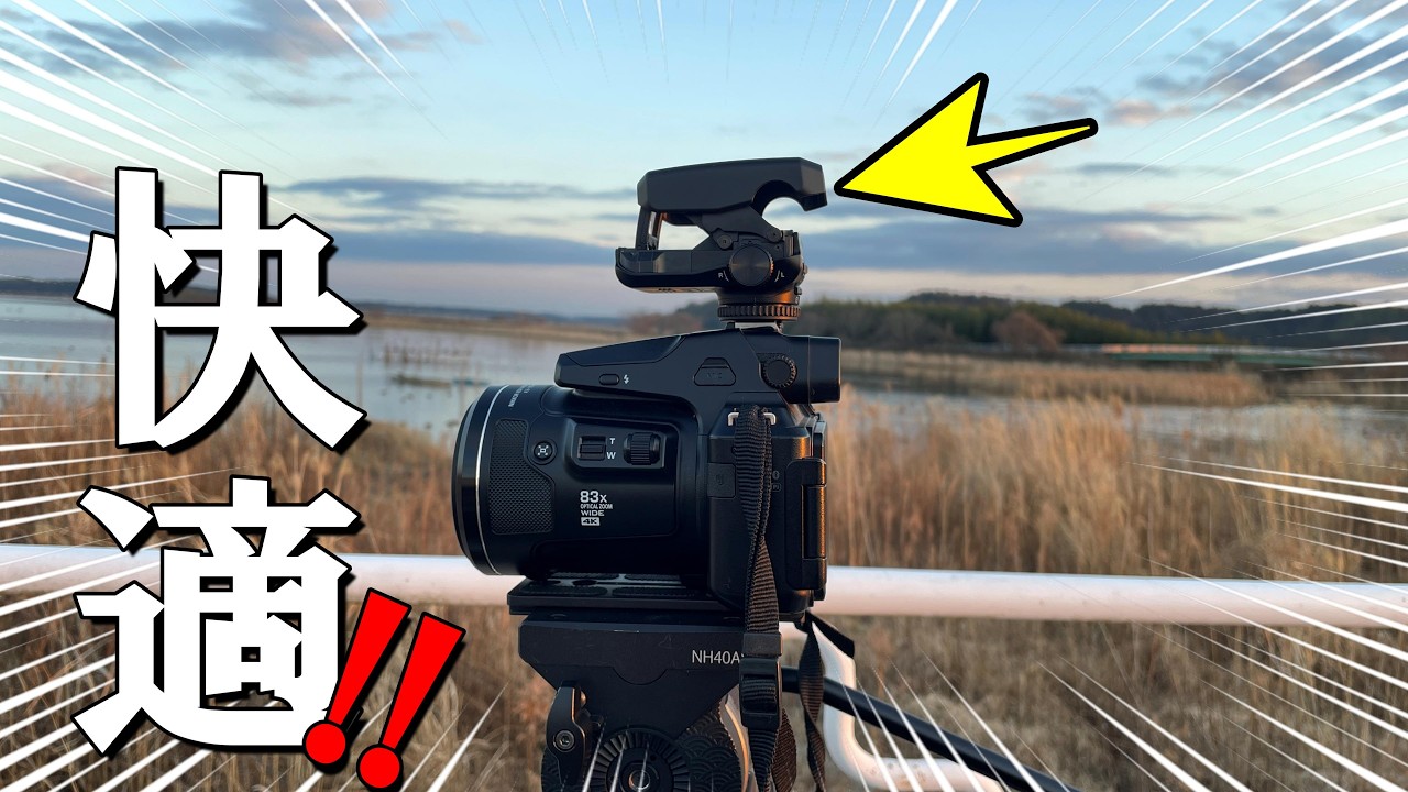 COOLPIX P950に純正ドットサイトDF-M1を付けたら楽しすぎたので紹介します！