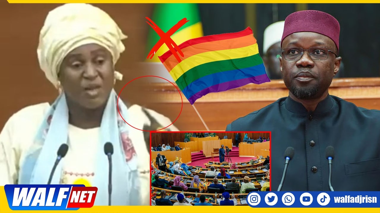 Loi Sonko contre l'homosexualité 