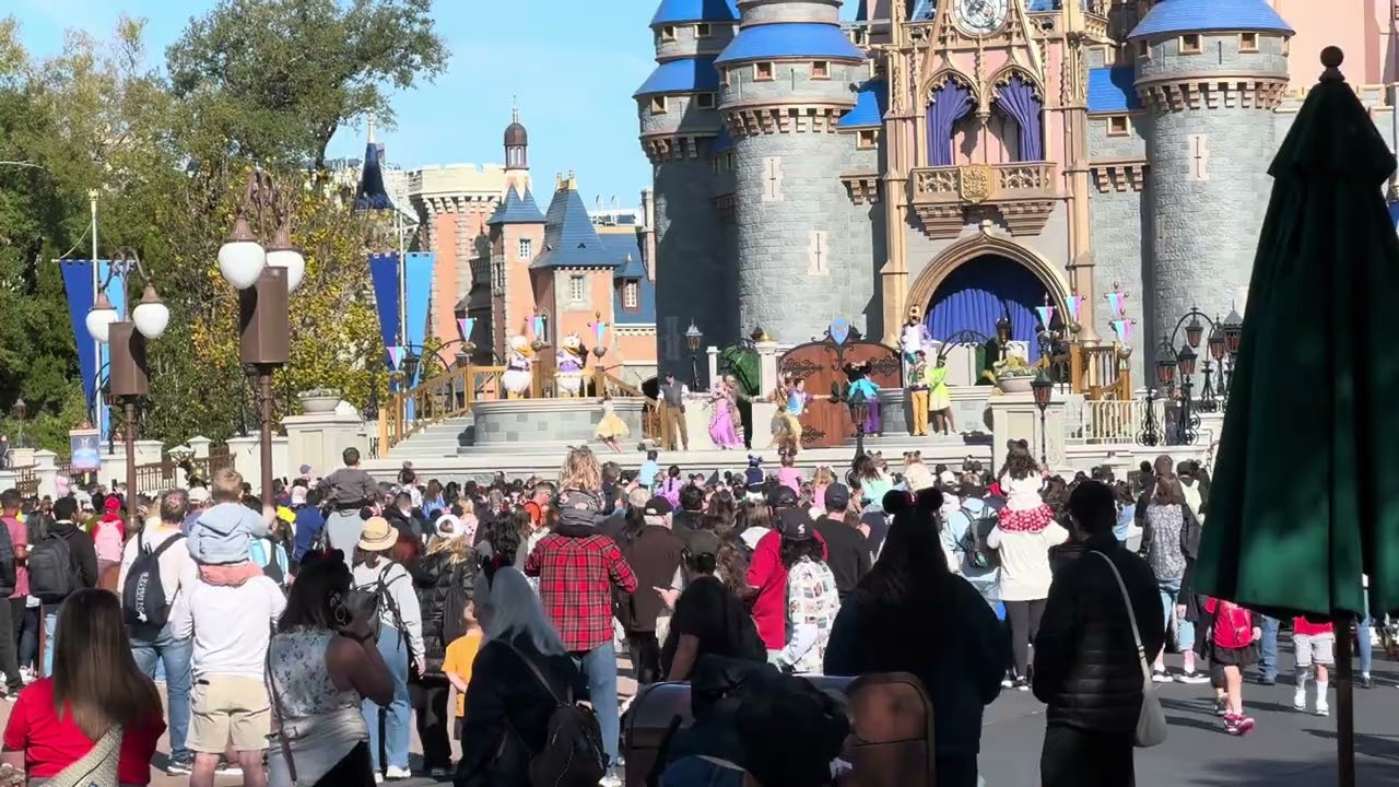 Castle Fantasy Faire show #magickingdom 
