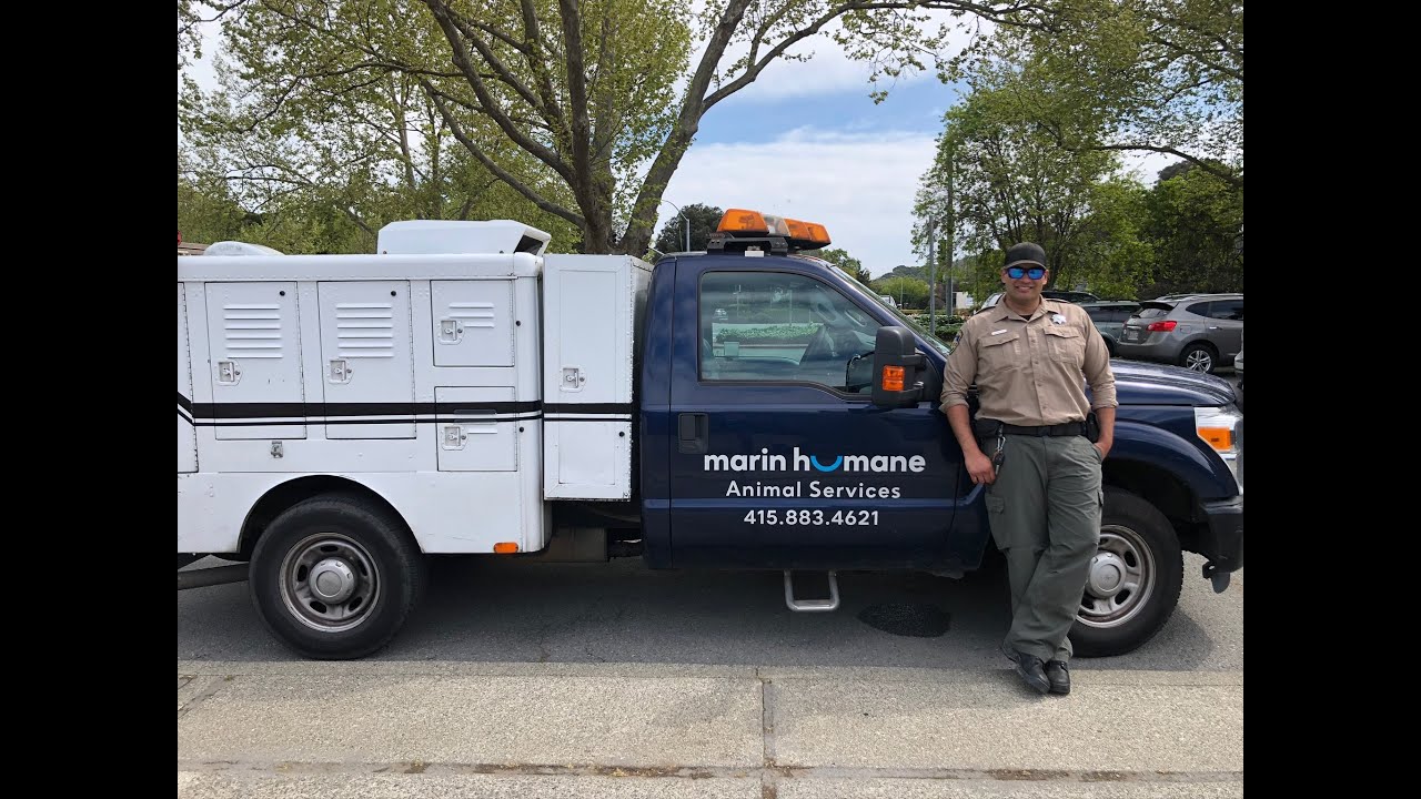 Humane at Home: Meet an Animal Services Officer
