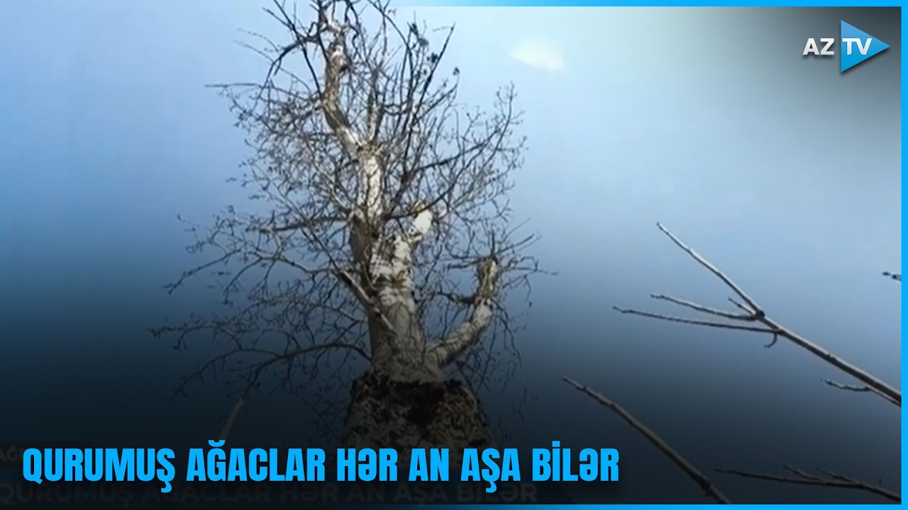 Ağdaş-Ləki yolundakı təhlükə nə vaxt aradan qaldırılacaq