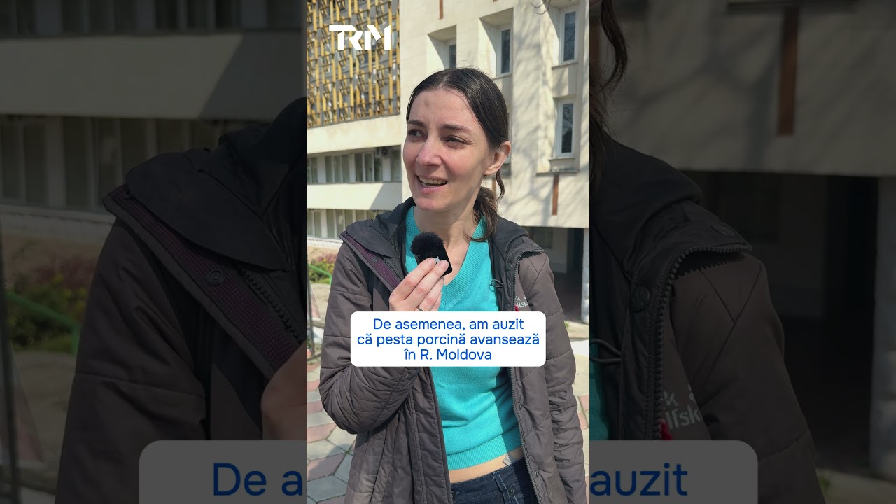 Prețurile la carne cresc: ce spun chișinăuienii? #moldova1 #trm #ȘtiriMoldova #radiomoldova #Moldova