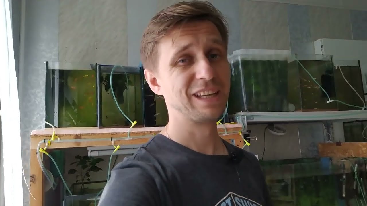 Новости. Приобрёл полезное для аквафермы. Супер УФ стерилизатор.