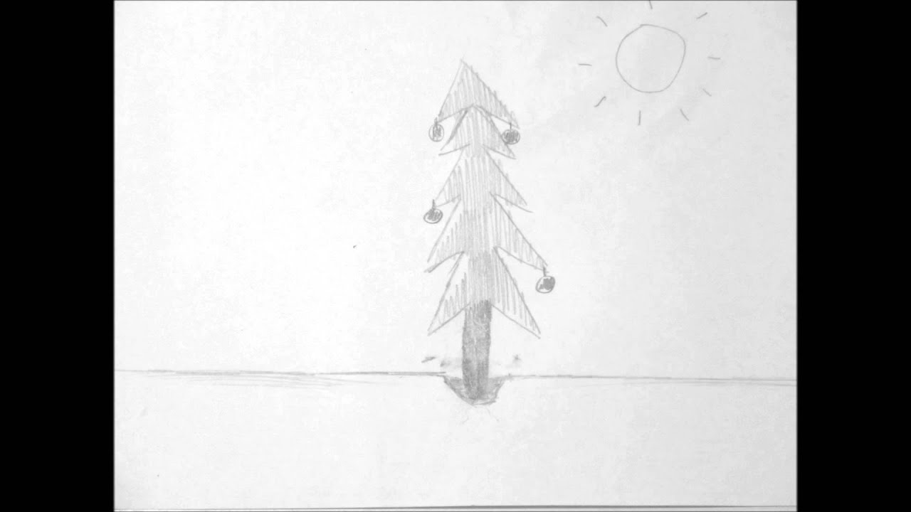 Het leven van een kerstboom. (Projectfilmpje)