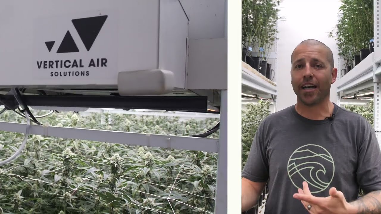 HVAC Design For Your Vertical Farm - Vertical Air Solutions