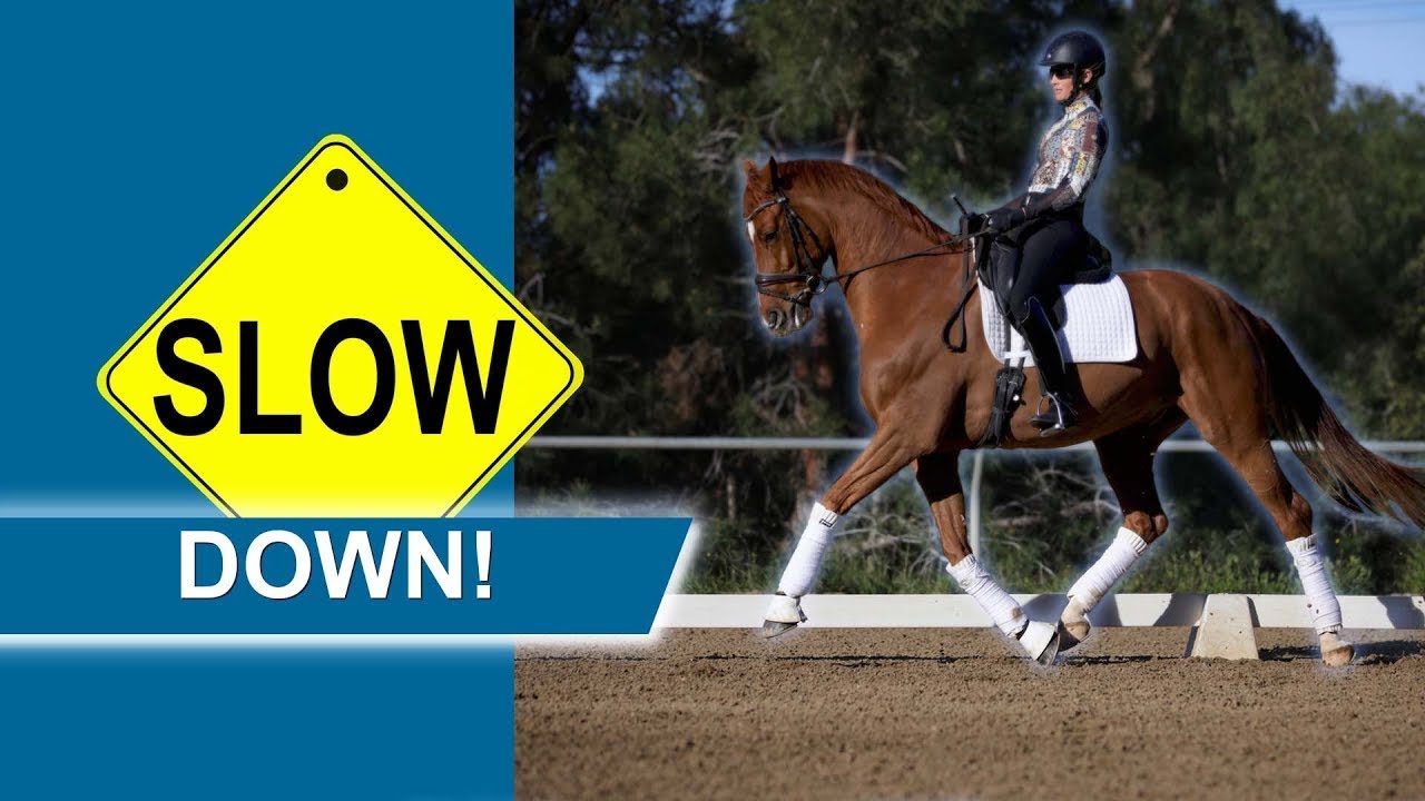 Your horse has no brakes?