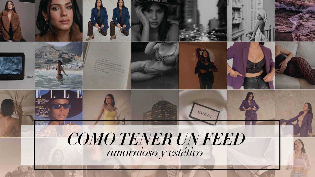 COMO TENER UN FEED ARMONIOSO Y ESTÉTICO