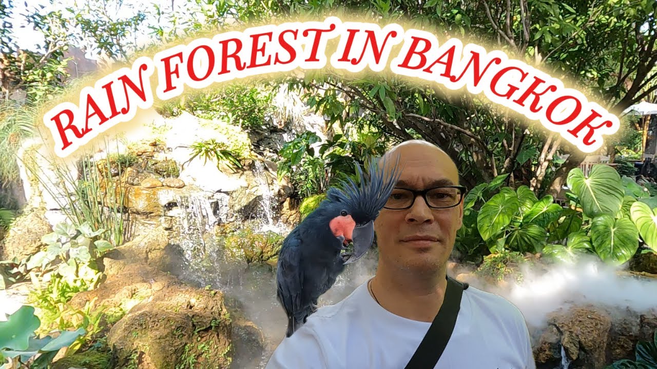 Rainforest Cafe Bangkok