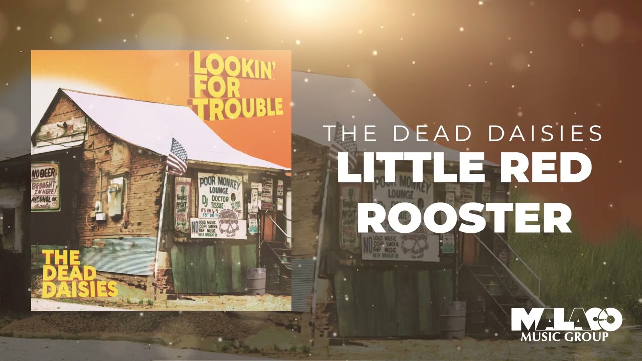 The Dead Daisies - Little Red Rooster (Visualizer)