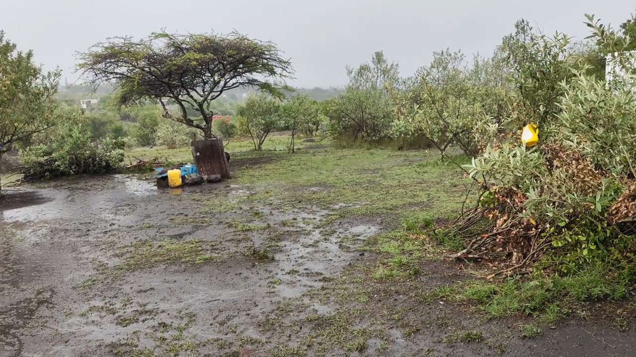 Relaxing Rain sounds in the countryside. Off-grid life away from the city. 