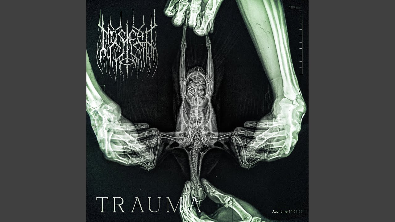 Trauma IV