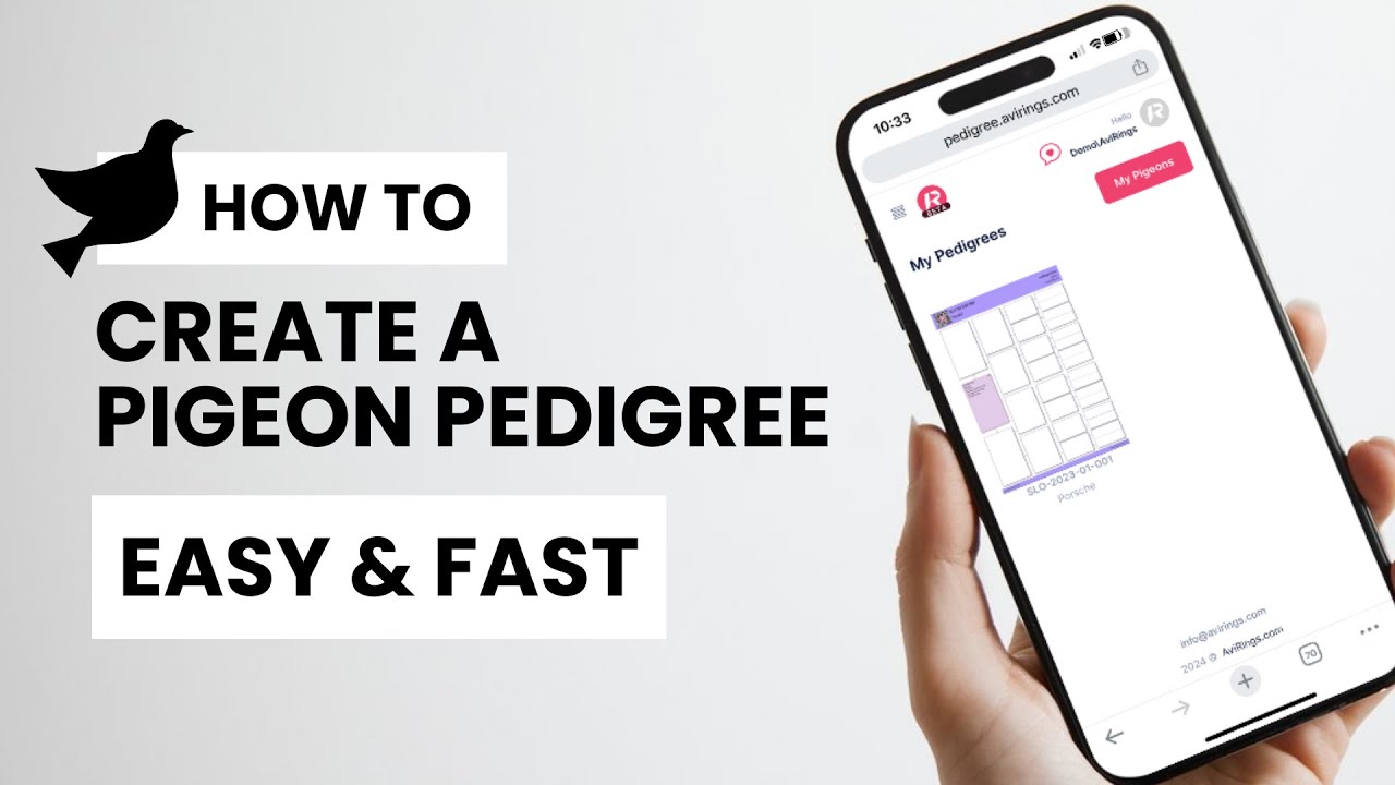 How to Create a Pigeon Pedigree FAST & EASY?