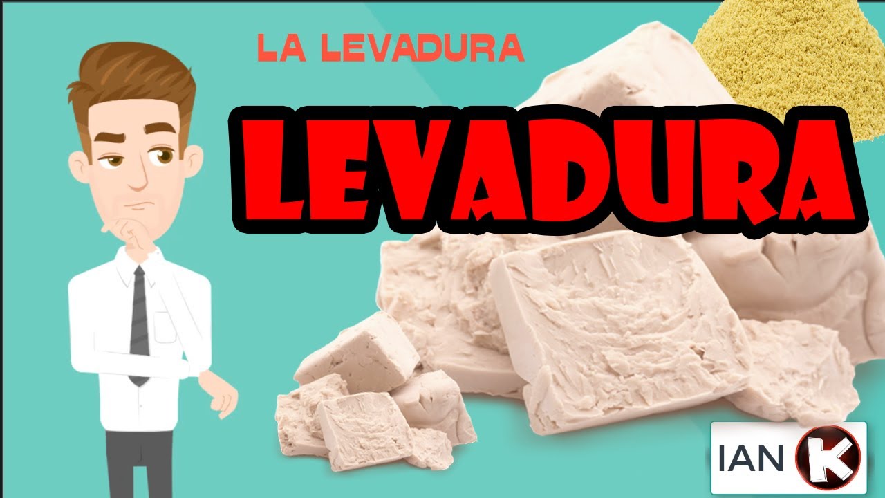 LA LEVADURA | Todo sobre la levadura