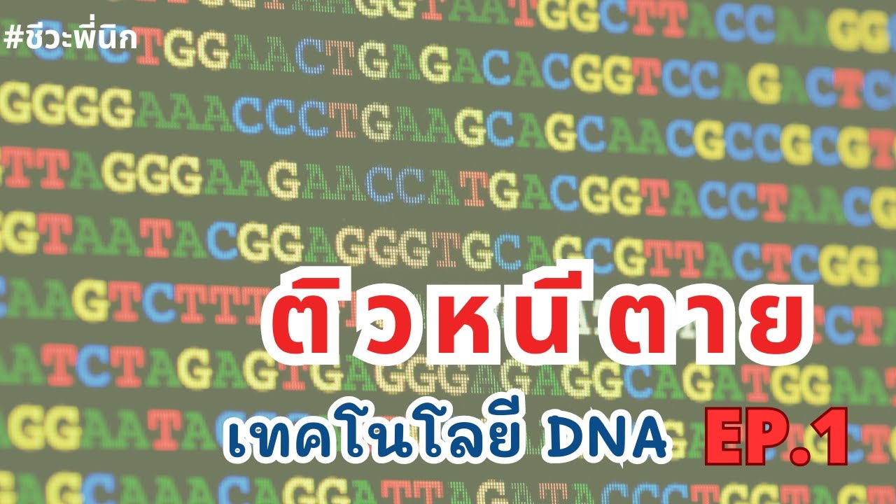 ติวหนีตาย เทคโนโลยี DNA EP1 ชีวะพี่นิก