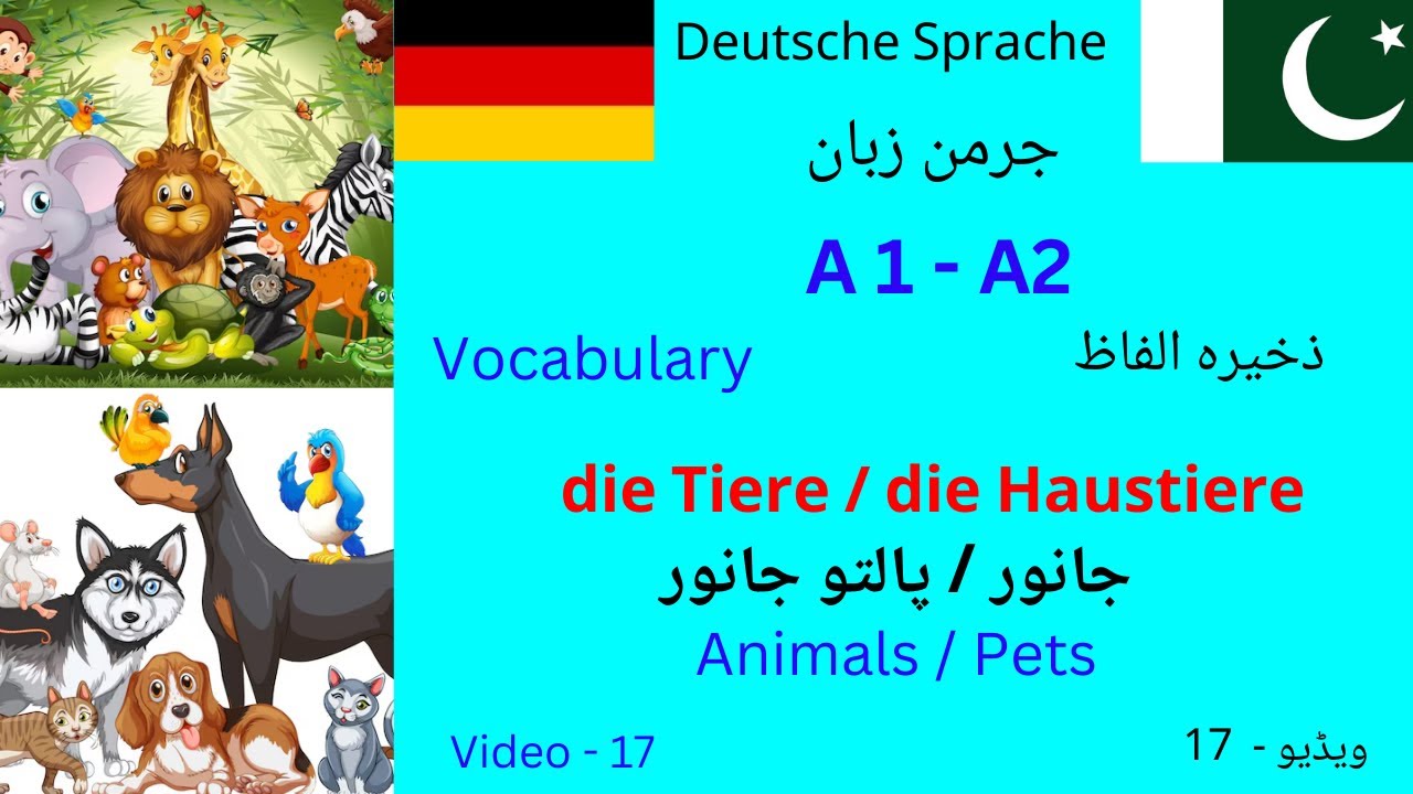 Animals and Pets | die Tiere und die Haustiere | German Vocabulary | A1-A2 | جانور اور پالتو جانور