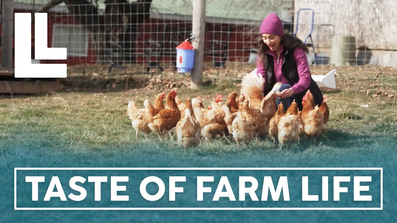 A Taste Of Udderly Ridiculous Farm Life | Living Local