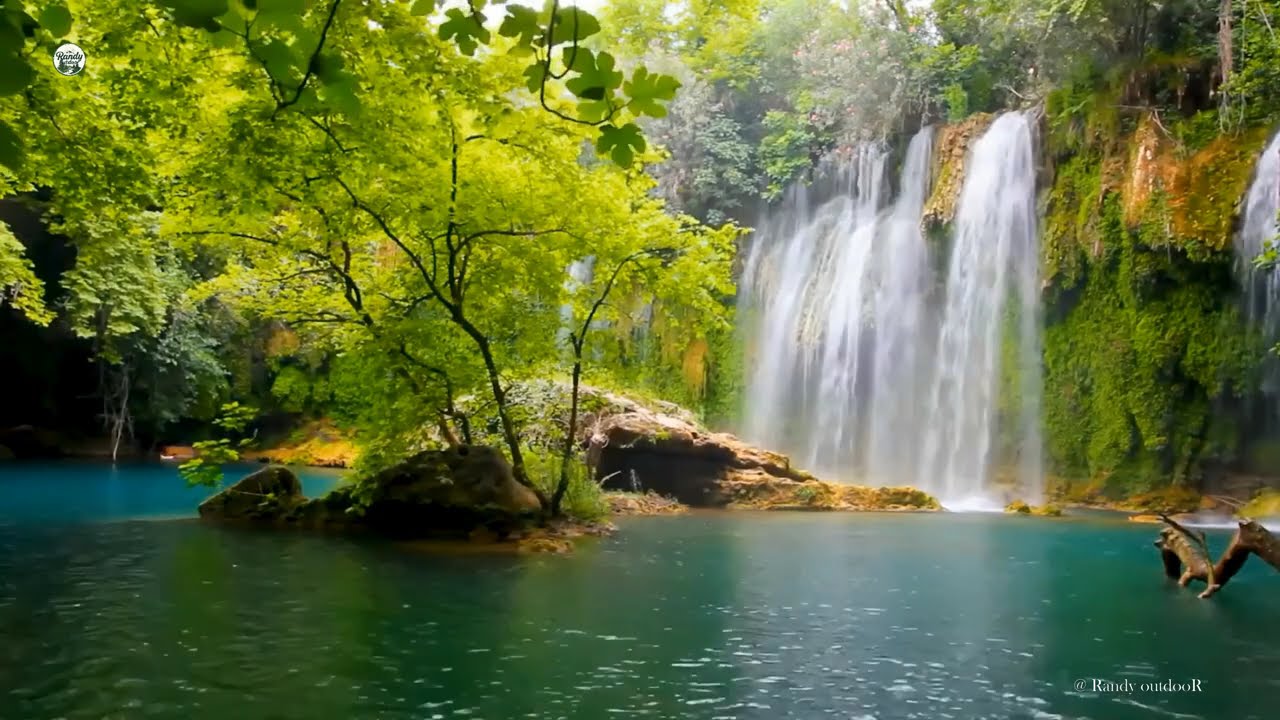 8K Waterfall sounds relaxing singing birds in forest of Nature 6hrs relaxing outdoor