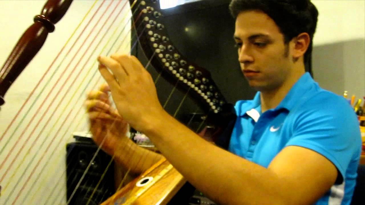 David Vega - Arpa Colombiana