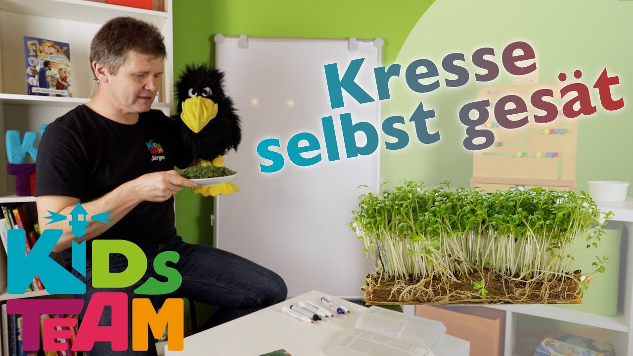 Kresse selbst gesät