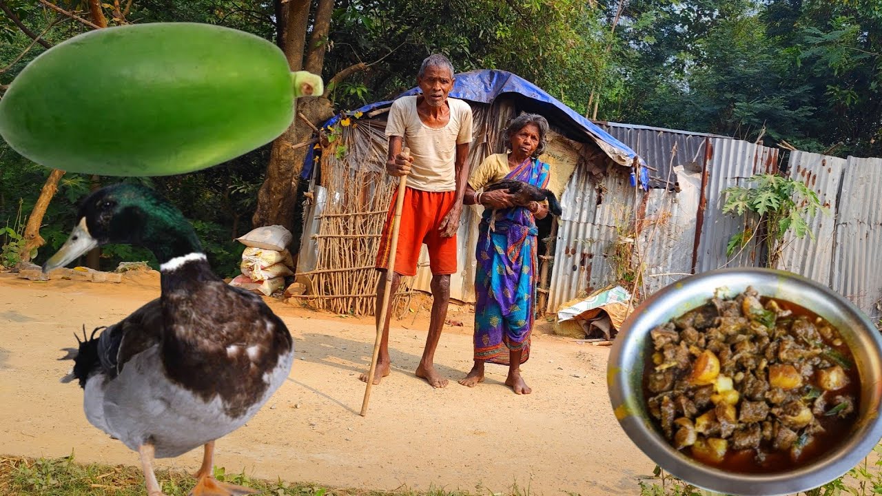 tribe old grandma & grandpa lifestyle || cooking DUCK MEAT CURRY with PAPAYA and eating || poor life