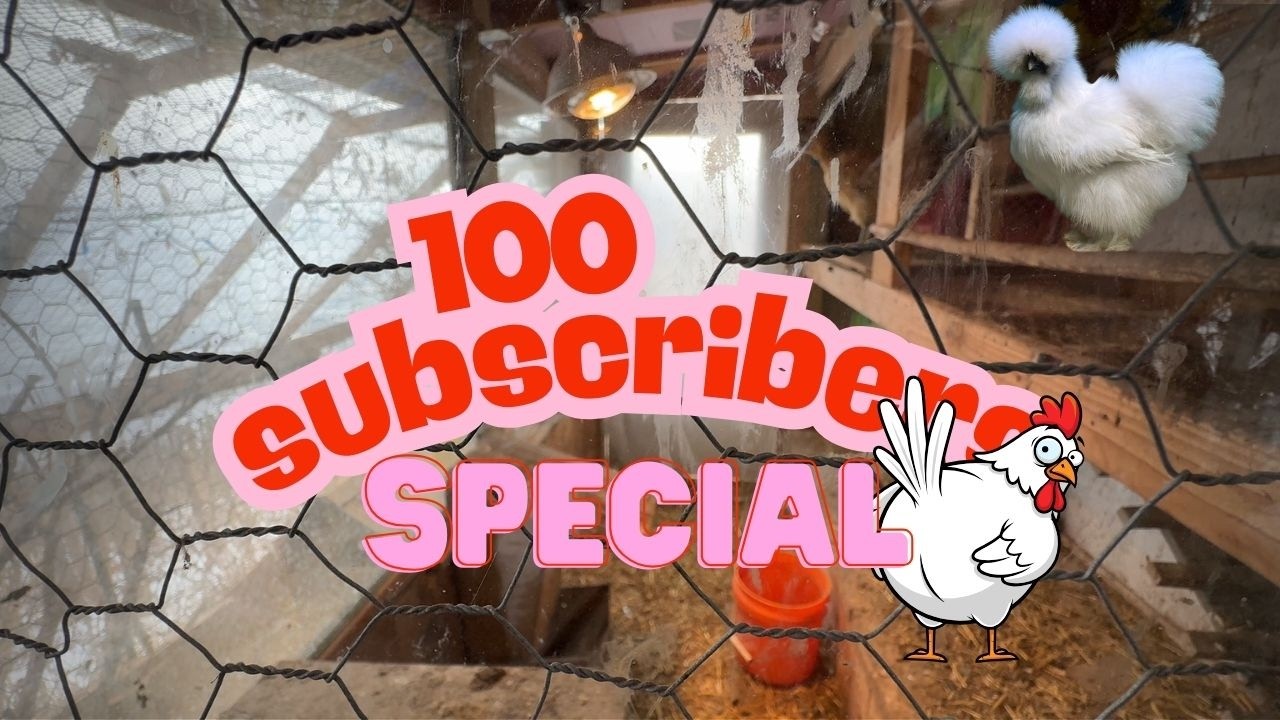 100 Subscribers Special | Lesya's Farm Ep. 11 🐔