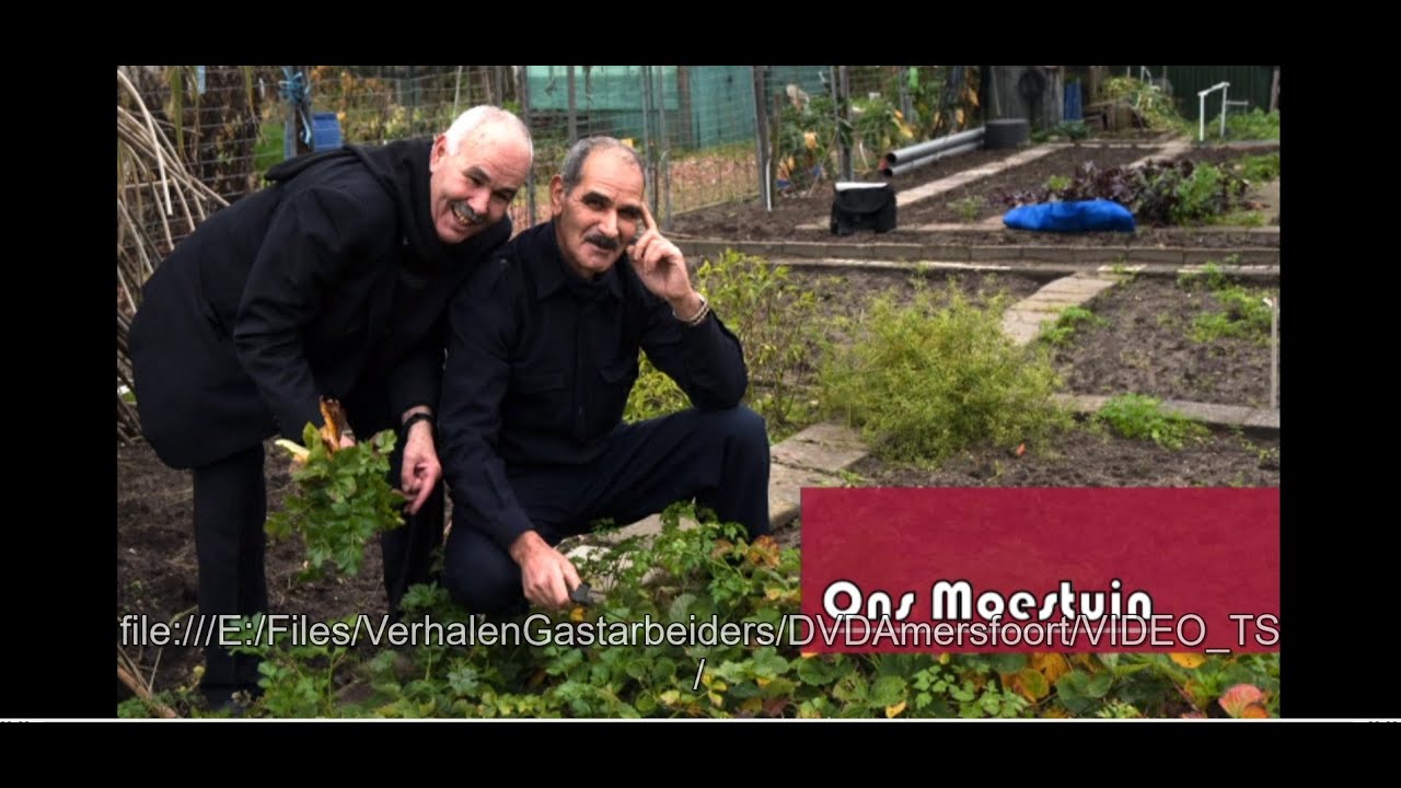 Ons Moestuintje aan het Spoor - Eerste generatie Marokkanen in Amersfoort (Riffijns - NL)
