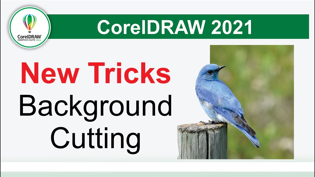 How to Remove and Cutting Background in CorelDraw and Corel Photo Paint New Tricks by, Amjad