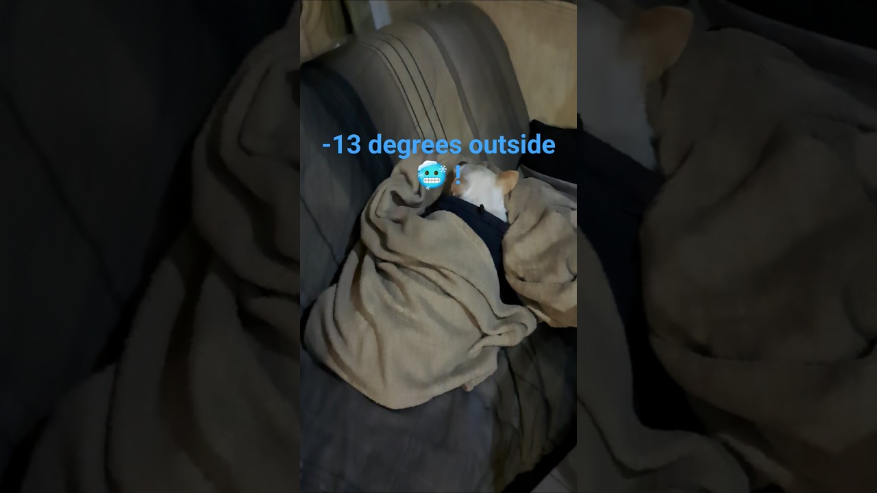 Rv-living offgrid: [Bitter Cold-13🥶!!] 