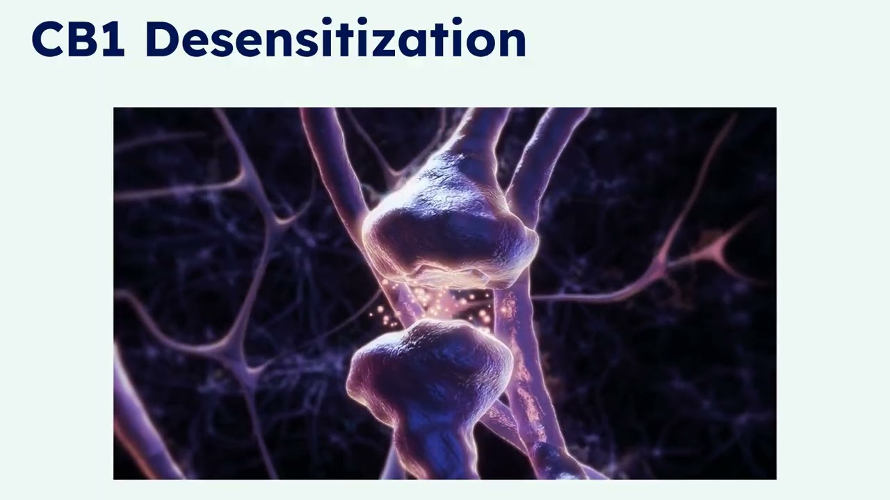 ESC Education Academy: Epilepsy, O6 Fat Overload, and the ECS: The Hidden Cause of Seizure Disorders