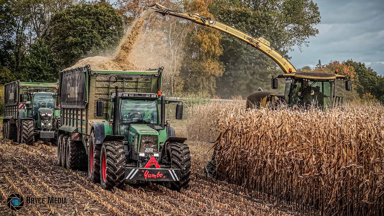 Mais-Wahnsinn in Blumendorf SOUNDVIDEO 1 / Mais häckseln 2025 mit Fendt 924 Favorit - Krone - Claas