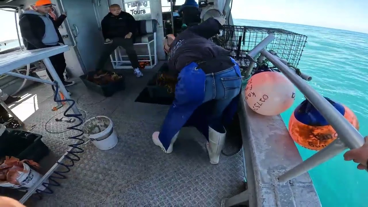 KAIKOURA CHARTER BOAT FOR CRAYFISHING AND FISHING