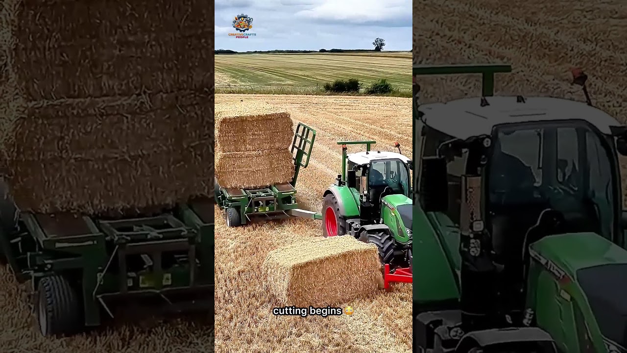 &ldquo;One Tractor Transforms This Field 😳🌾&rdquo;