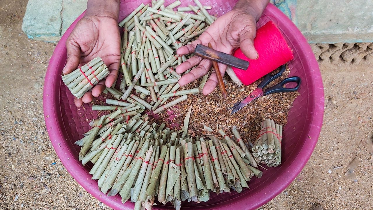 Beedi Manufacturing Technique | Handmade Beedi