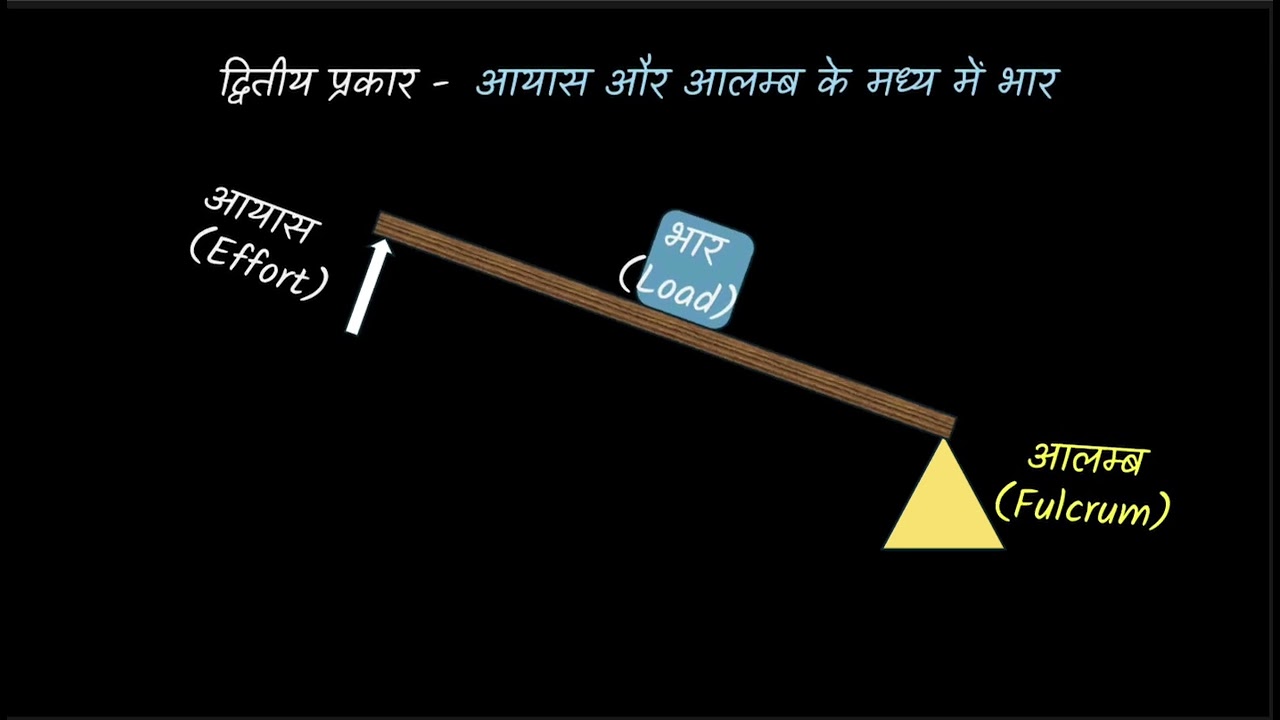 Classification of Levers [Hindi]| Forces and Machines | Grade 7| Middle School Science| Khan Academy