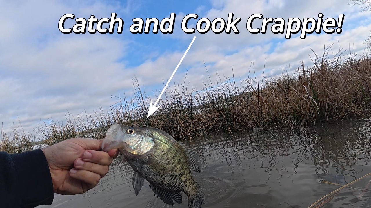 Wading for the Golden Crispies! Crappie Catch and Cook!