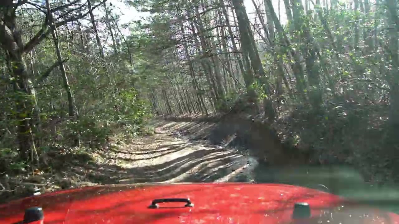 DBBB: Wildcat Road
