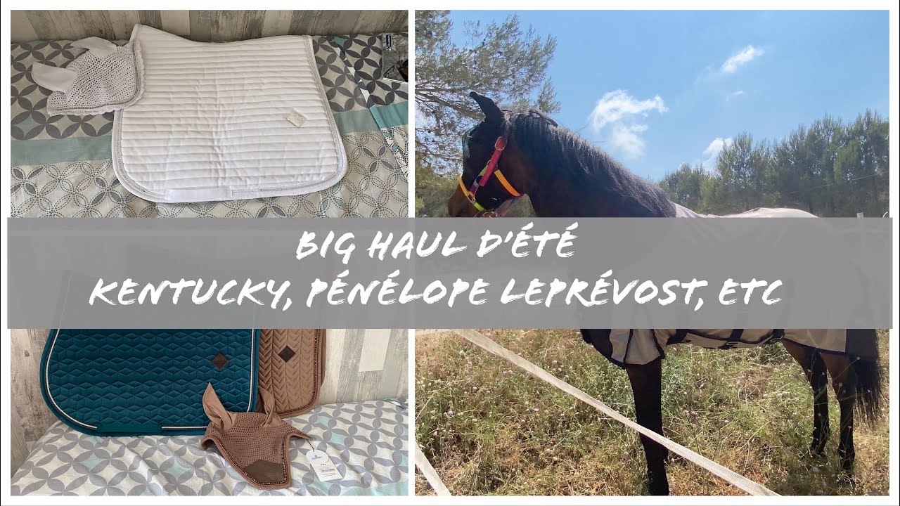 ♡ [ACHATS/HAUL N°17] Kentucky, Pénélope Leprévost ♡